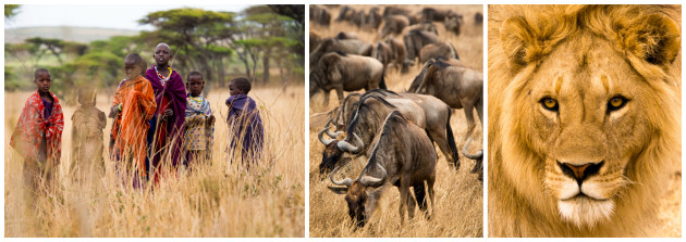 African Photo Safari Tours should be at the top of your bucket list