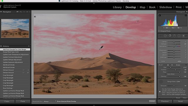 Check Out Adobe Lightroom’s New Tool!