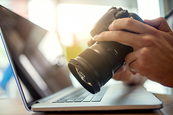 A stock photographer looks at images on the camera