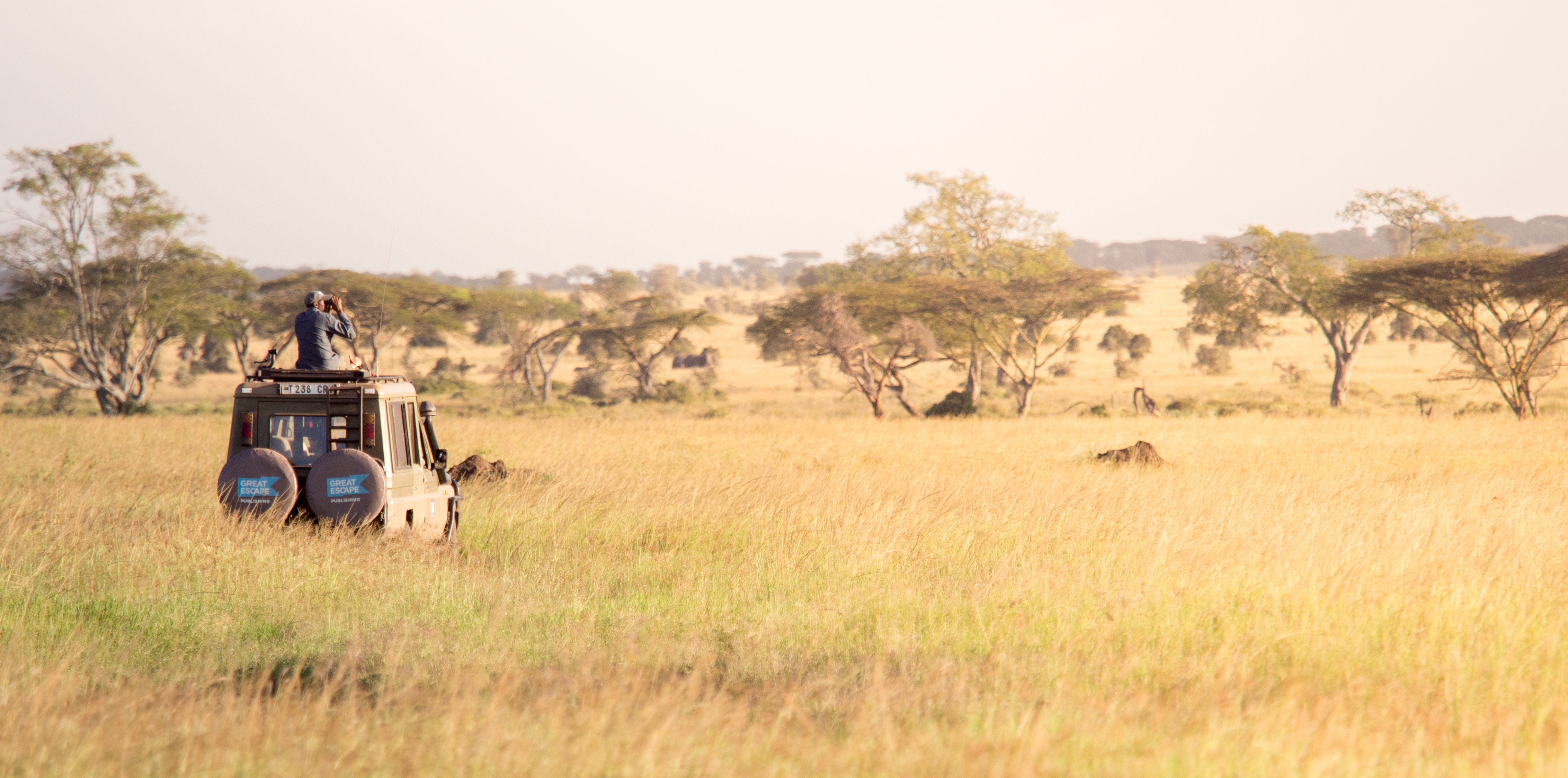 Another stop on our African photo safari is Central Serengeti