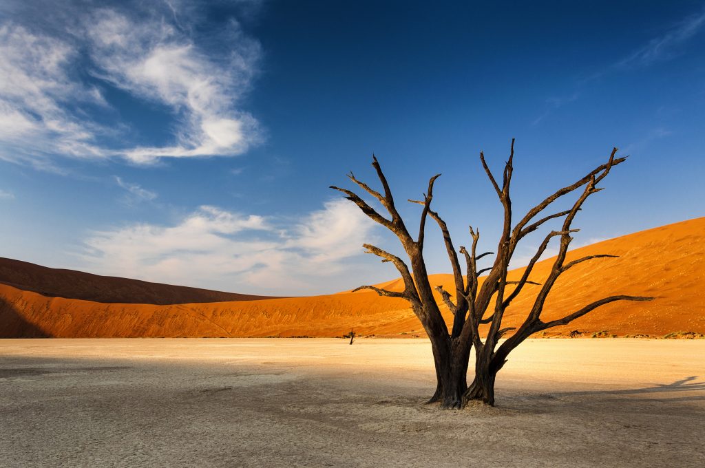 Sand ridges in Namib Naukluft National Park