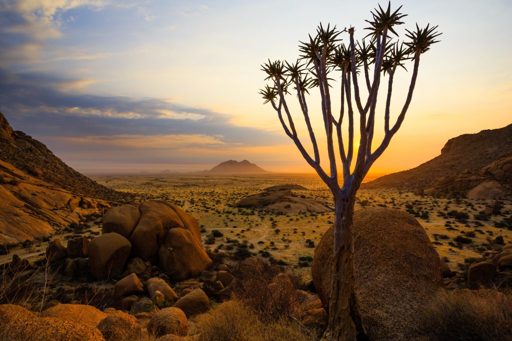 Our Photo Safari stops in Quiver Tree Forest and the Giant’s Playground in Namibia