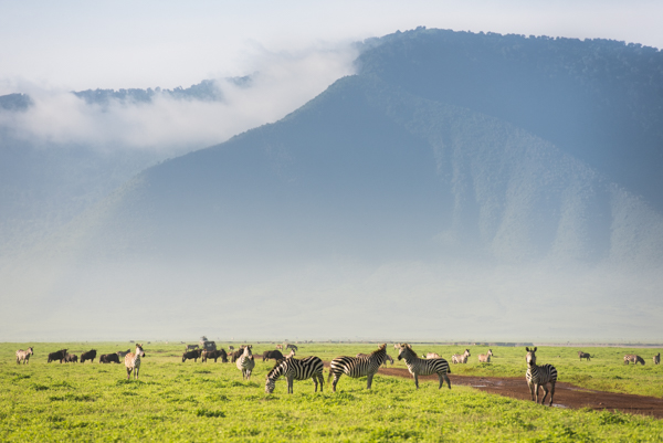 Ngorongoro Crater is one of the best spots in Tanzania