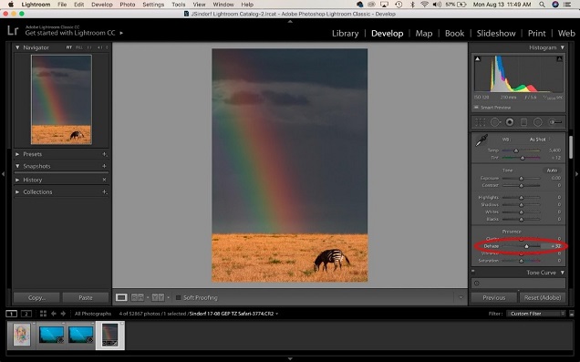 Using Lightroom's dehaze tool can transform your image