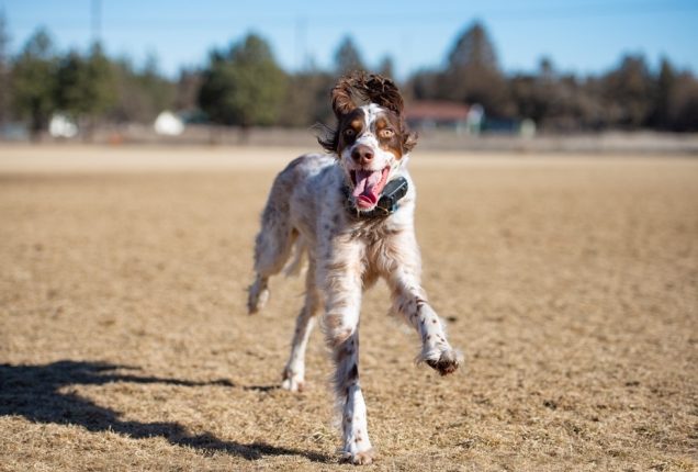 Capturing Motion In Your At-Home Photo Shoots