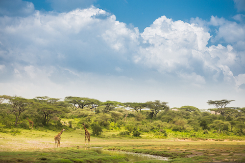 Photo Fix: Bring Back The Blue Sky In Lightroom