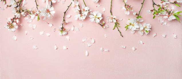 Inspiration for taking photos with a spring theme...